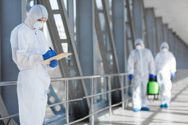 Professional Mold Removal in Poplar Plains, CT