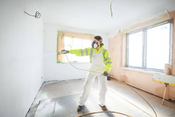 Best Mold Damage Restoration  in Poplar Plains, CT