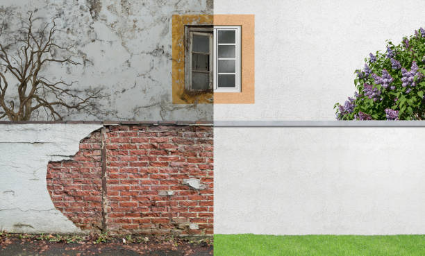Best Mold Documentation for Insurance Claims  in Poplar Plains, CT