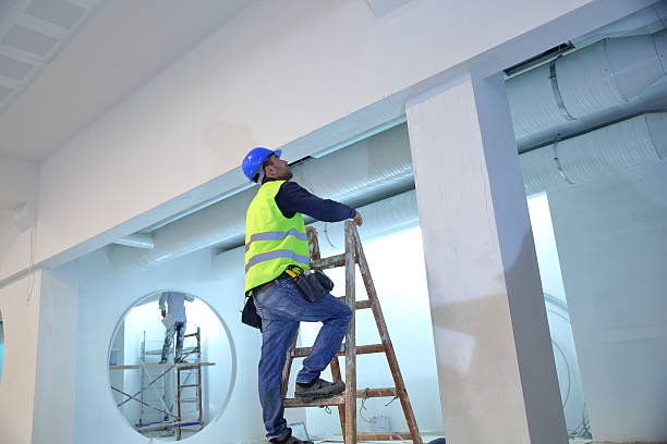 Best Water Damage & Mold Remediation  in Poplar Plains, CT