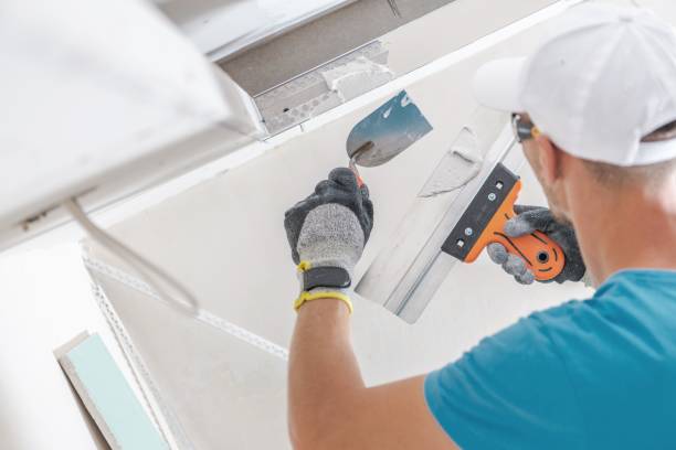 Best Mold Remediation for Healthcare Facilities  in Poplar Plains, CT